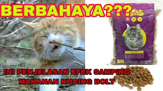 BERBAHAYA❓MAKANAN KUCING BOLT | PENJELASAN EFEK SAMPING MAKANAN KUCING MERK BOLT