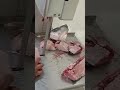 #viral #fish #fishcooking #highlight#shorts #vairalvideo