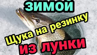 ЛОВЛЯ ЩУКИ ЗИМОЙ НА РЕЗИНКУ ИЗ ЛУНКИ