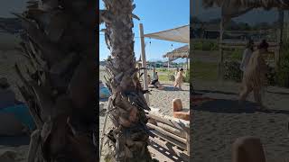 Ada Bojana Ulcinj Today