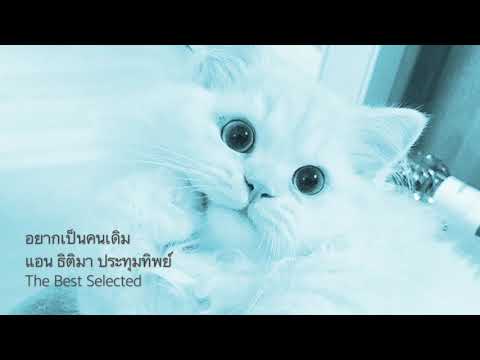 อยากเป็นคนเดิม - แอน ธิติมา ประทุมทิพย์