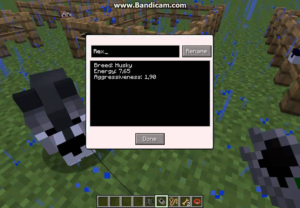 Minecraft copious dogs mod bemutat youtube