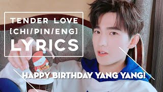 Tender Love (安心的温柔) - Yang Yang (杨洋) Lyrics | HAPPY BIRTHDAY YANG YANG ❤️
