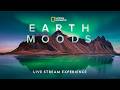 🔴 LIVE | Immerse Yourself in the Wonder of Our World with Earth Moods &amp; Maejor | Step Into Wonder