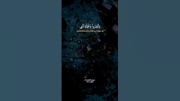 #سورة_فصلت #عامر_الكاظمي #اكسبلور #المصحف #8thaugust #quran #دويتو #القزابري #لايك 🤍