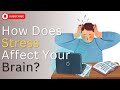 How Does Stress Affect Your Brain? ||3 Simple Proven Stress Management Tips to Stop it ||Keshav Pal