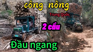 Công nông đầu ngang 2 cầu độ chinh phục địa hình chở gỗ quá khỏe p7