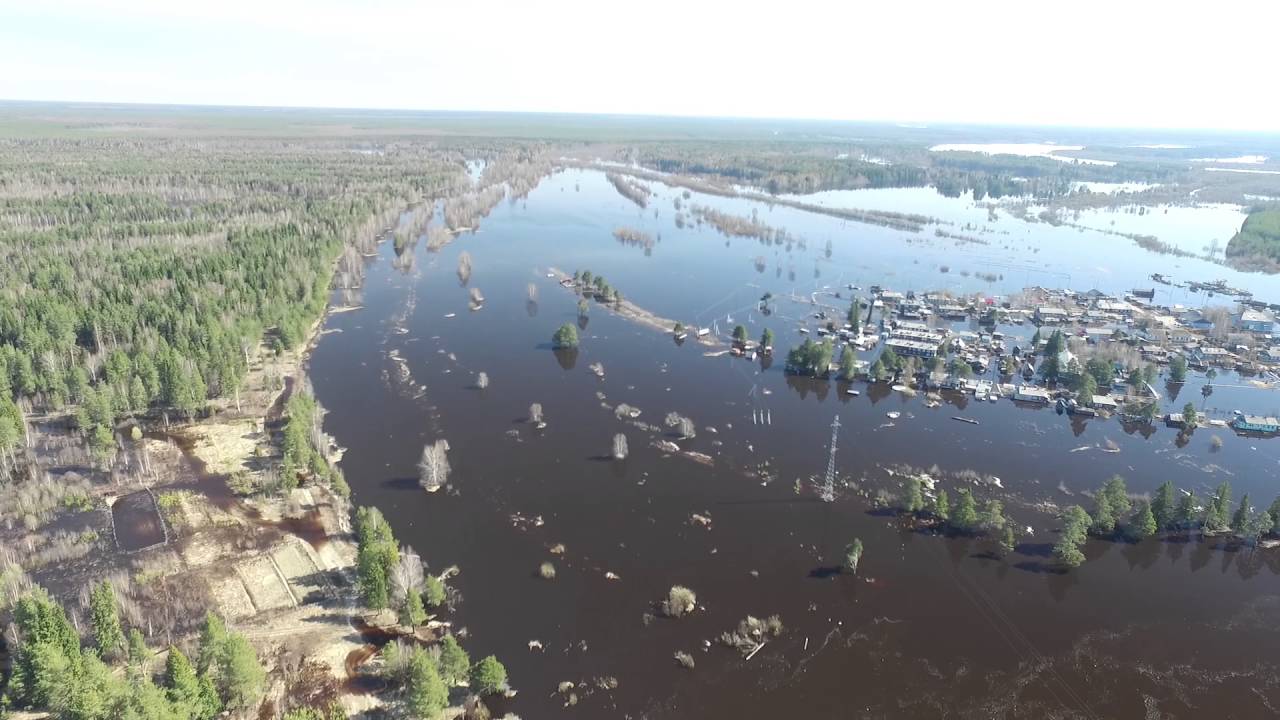 Трехозерка сыктывкар карта