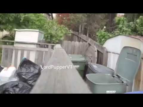 kid-pranks-dad---trash-can|-too-funny