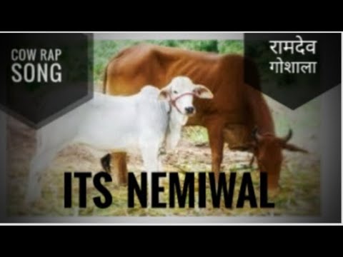  Gau  ma  ramdevgosala  rap song blog