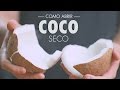 COMO ABRIR COCO SECO (RÁPIDO E PRÁTICO) | Gourmet a dois