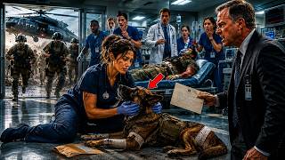 They Fired a Quiet Nurse for Saving a Military K9… Then Navy SEALs Stormed the Hospital ER