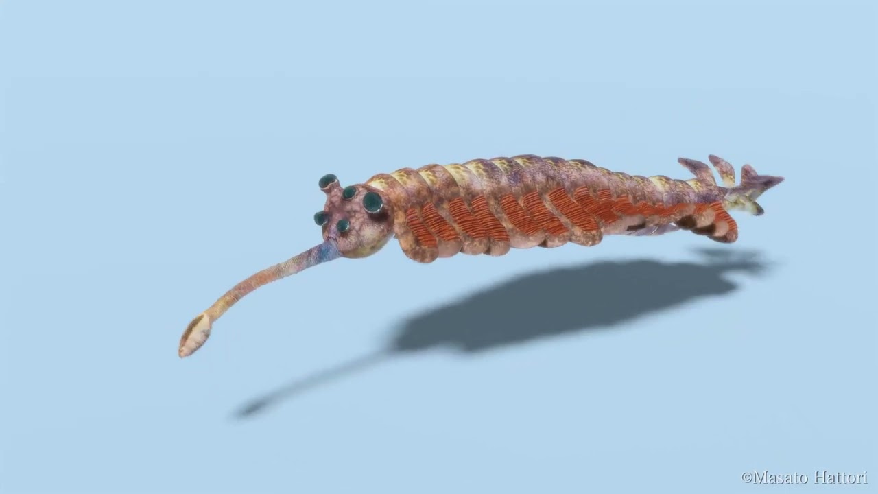オパビニア Opabinia - YouTube
