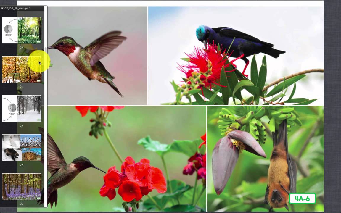 Lesson 4, The Life Cycle of a Plant - YouTube