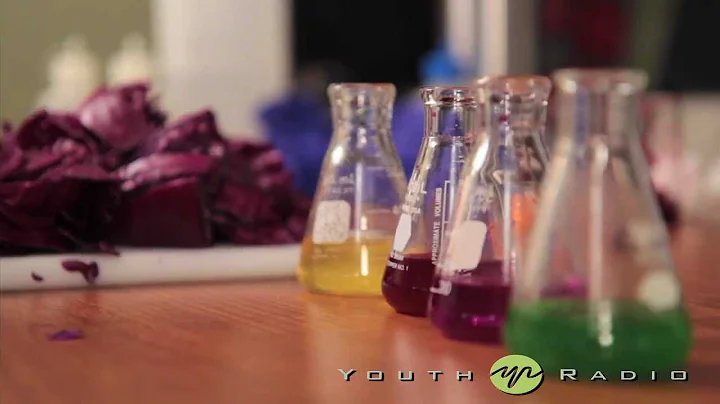 Brains and Beakers: The Color of Green Chemistry