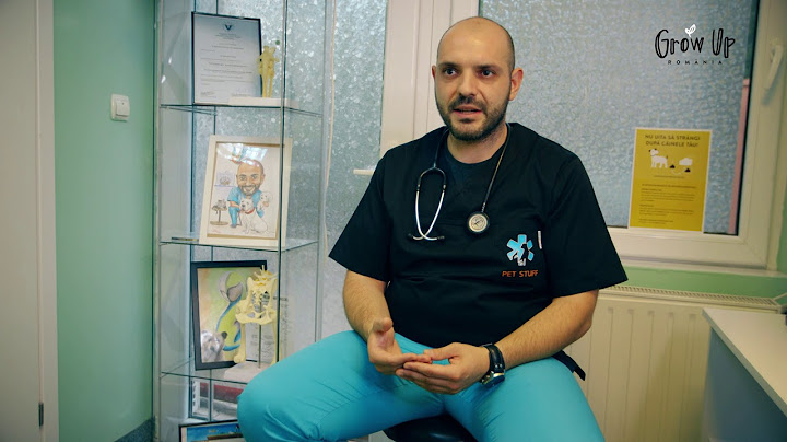 Strange dupa cainele tau - Dr Cristea Ep03