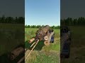Watch me haul timber like a pro #farmingsimulator #fs25 #logging