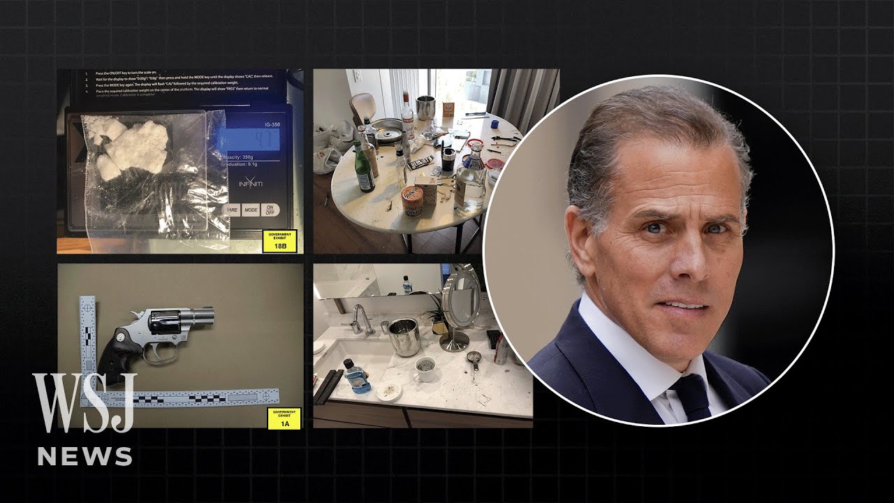 Hunter Biden Found Guilty in Gun Case: Here's the Evidence Behind His Conviction | WSJ News