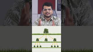 What is a Tree Data Structure | Tree Data Structure Explained in 1 Minute | Introduction to Trees