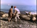 9 - Одиссея Жака Кусто -  Возвращение морских слонов