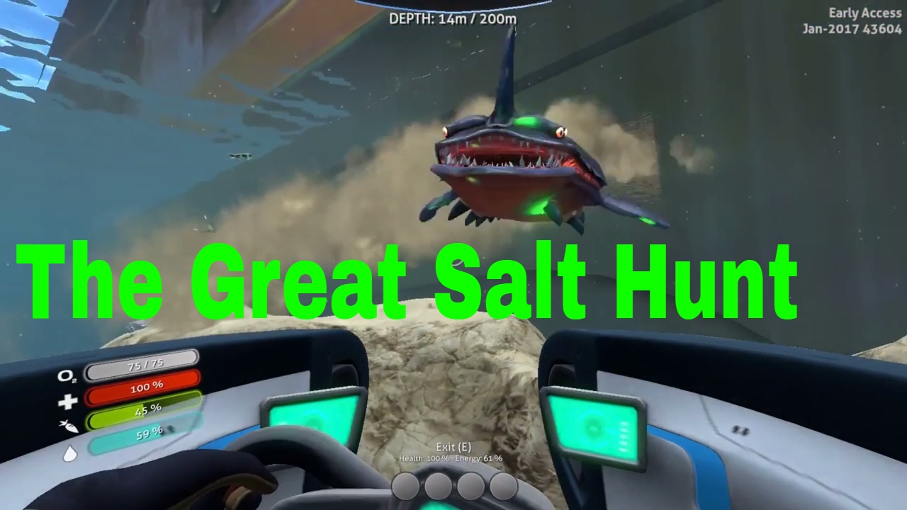 How To Find Salt In Subnautica