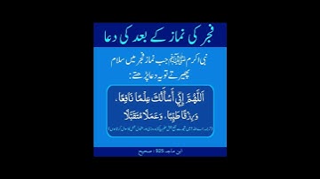 تلاوت دعا سعدایوب #دعاء #تلاوات #سعد