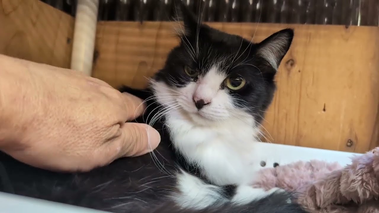 メルモママ　カテーテルが抜けたけど今は！