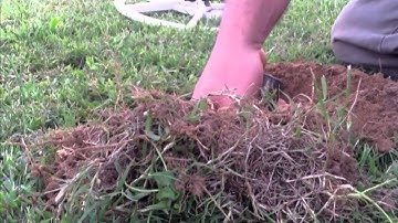 Minelab E trac Metal Detecting Silver Found !