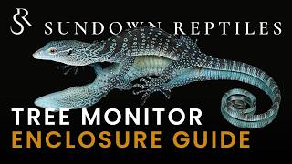 The Ultimate Tree Monitor Enclosure Guide Hatchling To Adult Setup