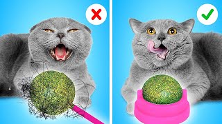 GADGETS Indispensables pour ton CHAT ! Cacher ses animaux aux yeux des parents par La La L'R Games