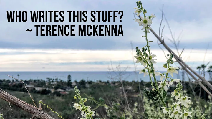 Who Writes This Stuff? ~ Terence McKenna