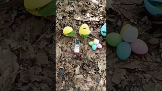 Finding millipede and snail and egg #millipede #snail #egg