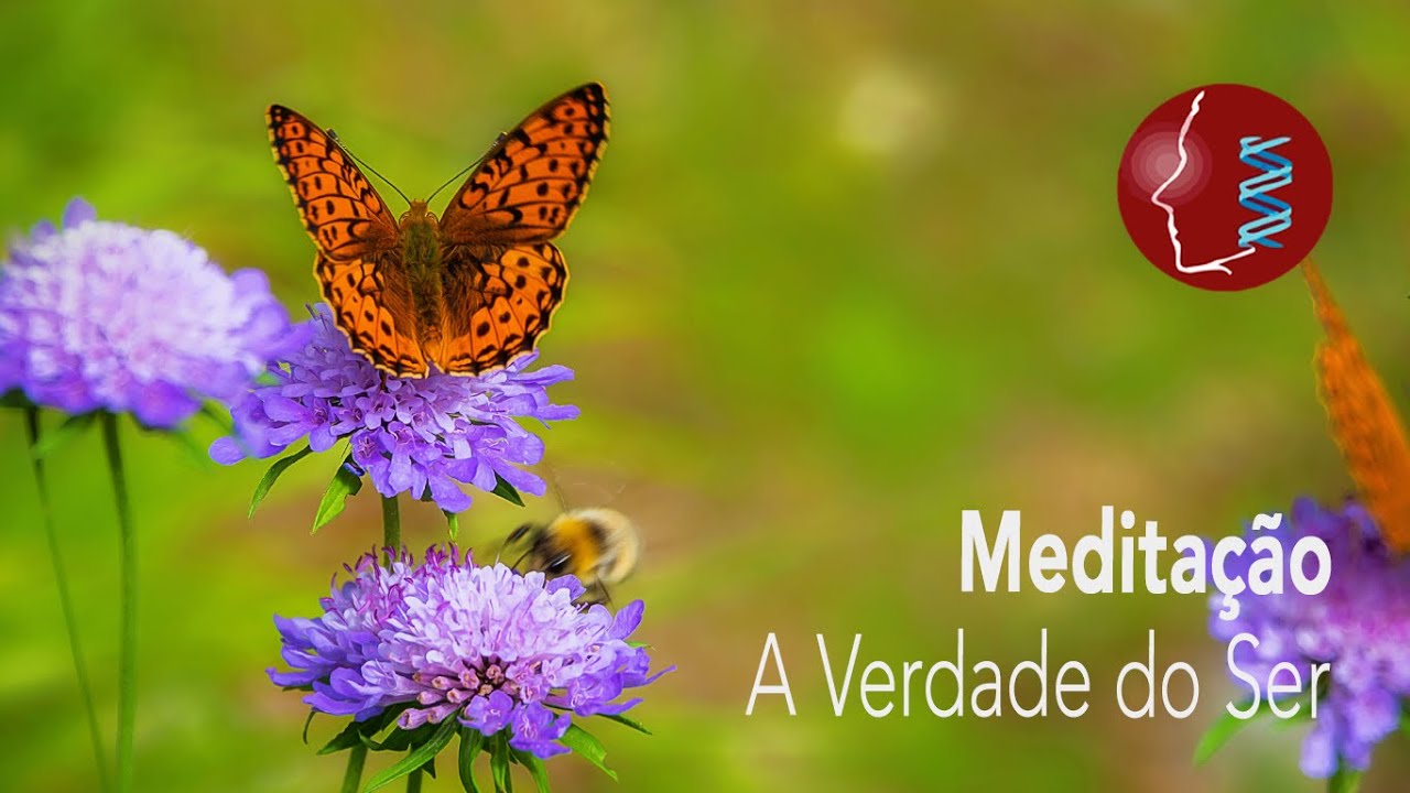 Meditação, A VERDADE DO SER, Sueli Rocha - Frequencia Theta - YouTube