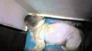 Capture 20131103 3