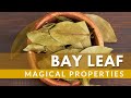 Bay leaf magical properties