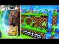 Sonic the Hedgehog maze for Syrian hamsters ep.1🐹 Hamster Sega Game 🐹 Come and Enjoy - Homura Ham