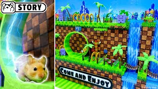 Sonic Hamster Maze ep.1 🐹 Homura Ham