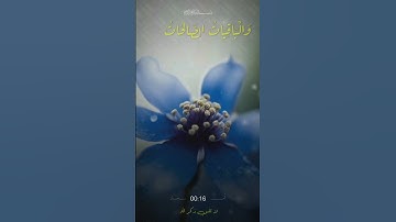 الْمَالُ وَالْبَنُونَ زِينَةُ الْحَيَاةِ الدُّنْيَا ... الآية ٤٦ من سورة الكهف #عبدالباسط_عبدالصمد
