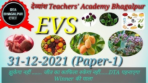 CTET EVS PREVIOUS YEARS 31 December 2021 Paper 1