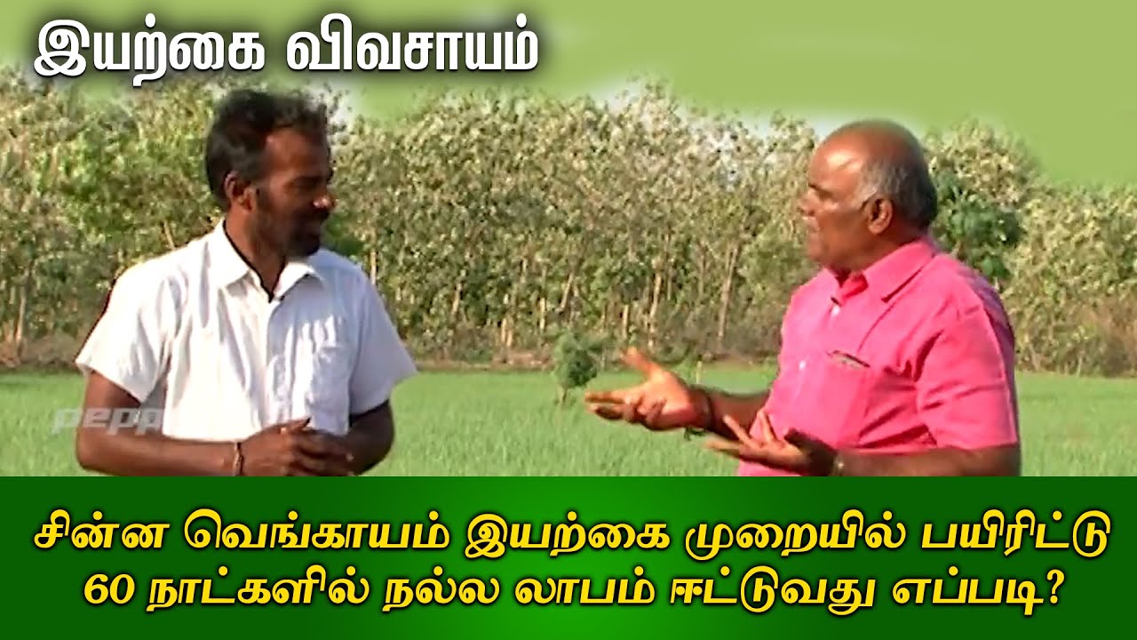 சின்ன வெங்காயம் இயற்கை முறையில் பயிரிட்டு60 நாட்களில் நல்ல லாபம் ஈட்டுவது எப்படி | Organic Vivasayi