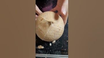 Cách cắt dừa Xiêm giải nhiệt mùa hè!