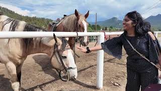 @MaVideshiKathalu A Day in Sombrero Ranches ∪ Horses 🐎🌾💨💛#SombreroRanches #RanchLife #horseriding