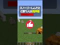 カボチャを置いたら何が起きる?マイクラの謎を検証!#shorts