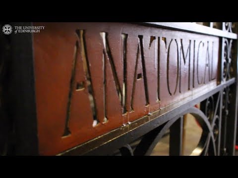 Videó: Anatómiai Múzeum (Anatomisches Museum) leírása és fotók - Svájc: Bázel