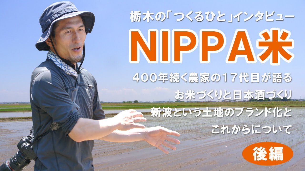 栃木の「つくる人」インタビュー　400年続く農家の17代目・NIPPA米の田中さんに聞く「米作り」や日本酒『新波』について【後編】