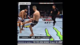 UFC 266.Best situations😱