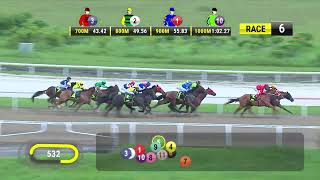 Vidéo de la course PMU PRIX GOLD RUTILE 2015 STAKES