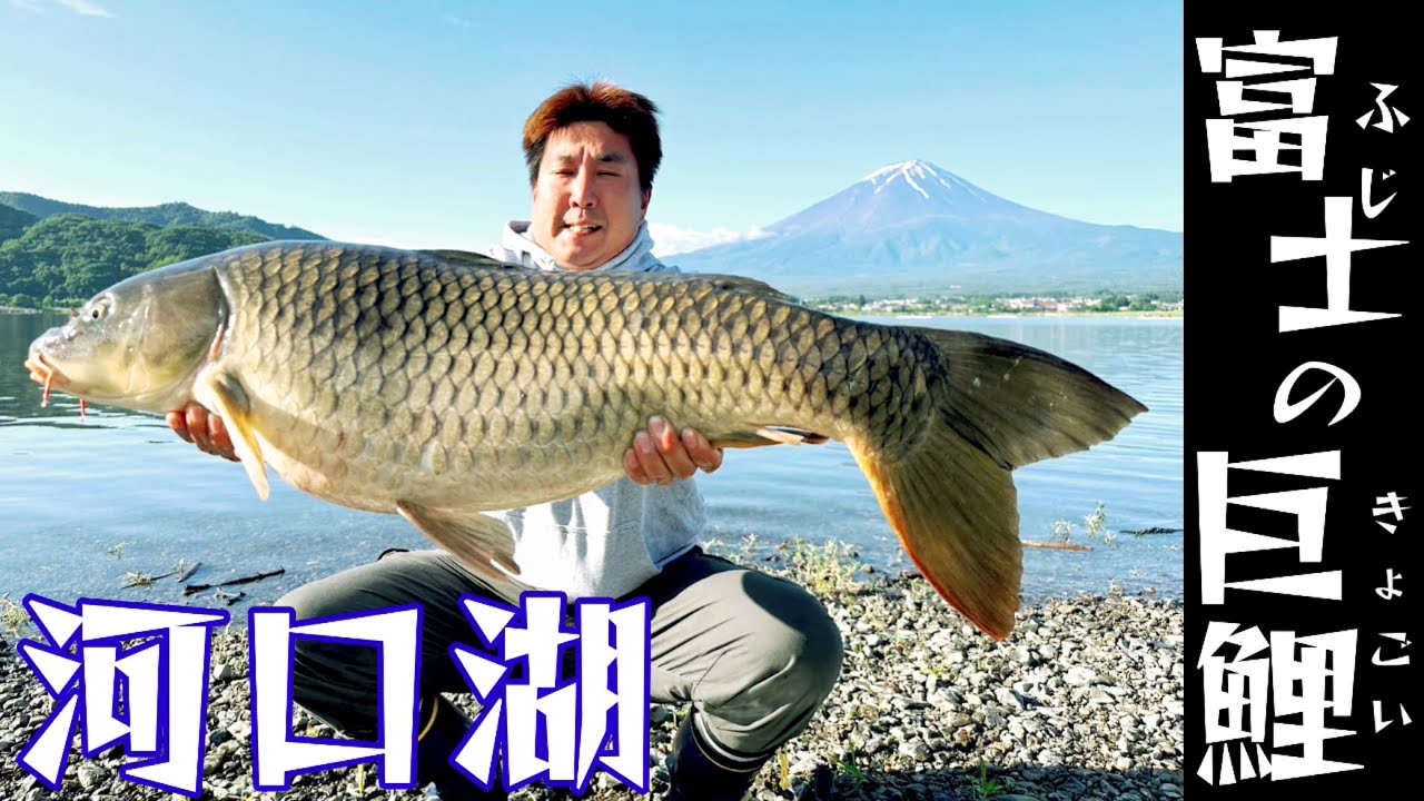 河口湖】超でっかい鯉が釣れたタイミングが絶景過ぎて胸踊る - YouTube