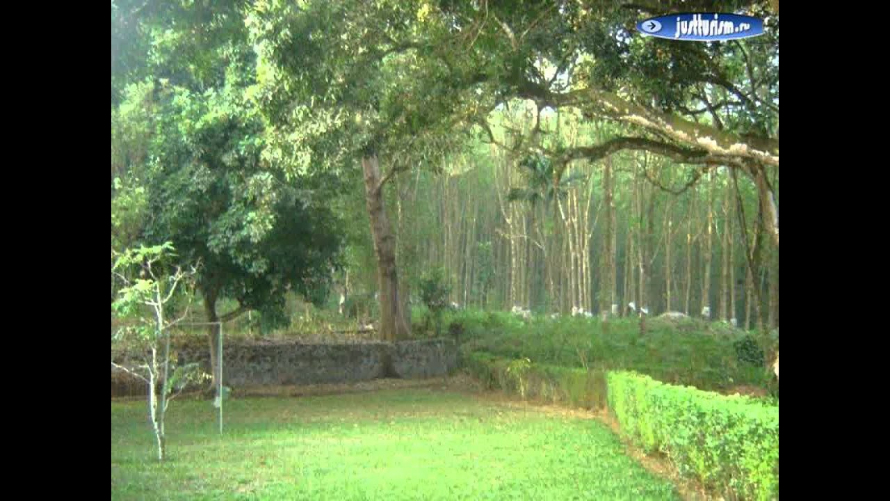 ШриЛанка, Matara District, Weliwe Morawaka Tea Garden Lodge YouTube