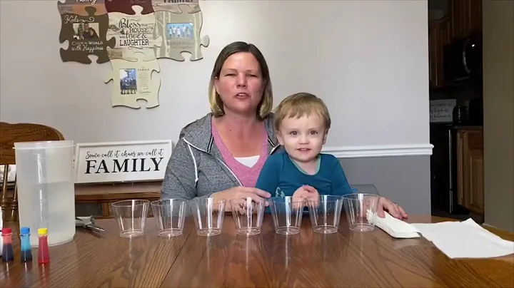 Walking Water Science Experiment
